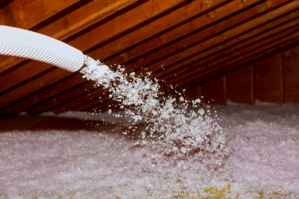 Best Geographic-Specific Insulation Services in Peotone, IL