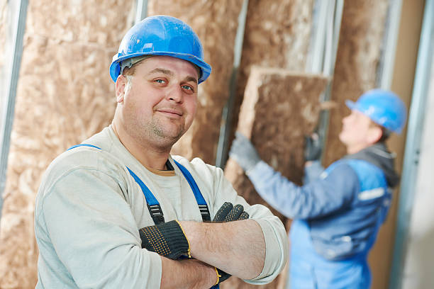 Best Geographic-Specific Insulation Services in Peotone, IL