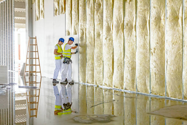 Best Cellulose Insulation in Peotone, IL